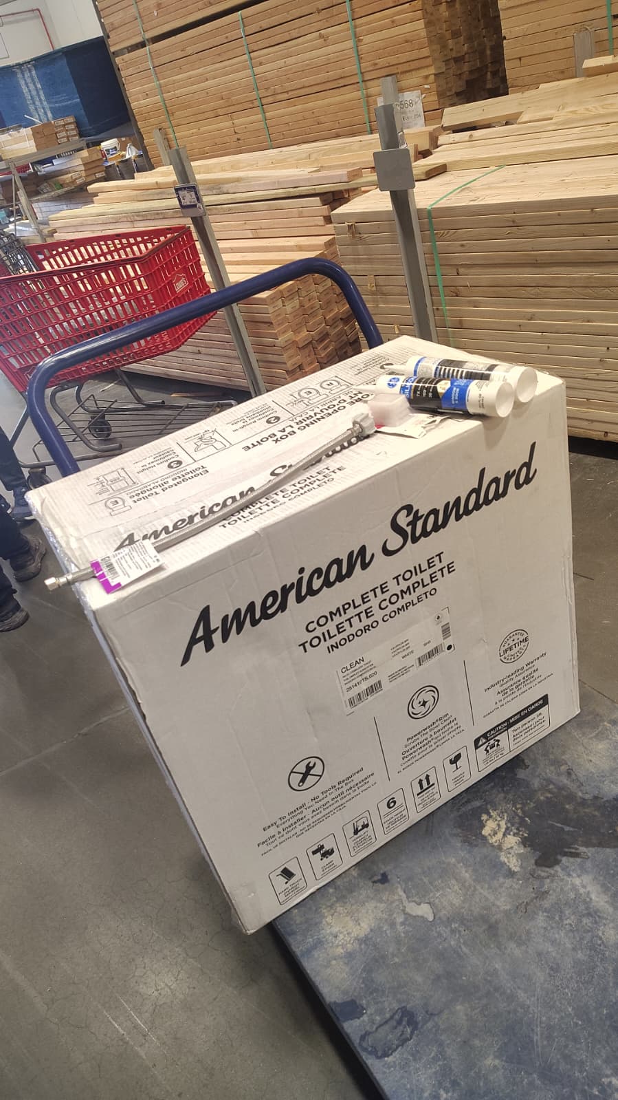 Professional Toilet Installation