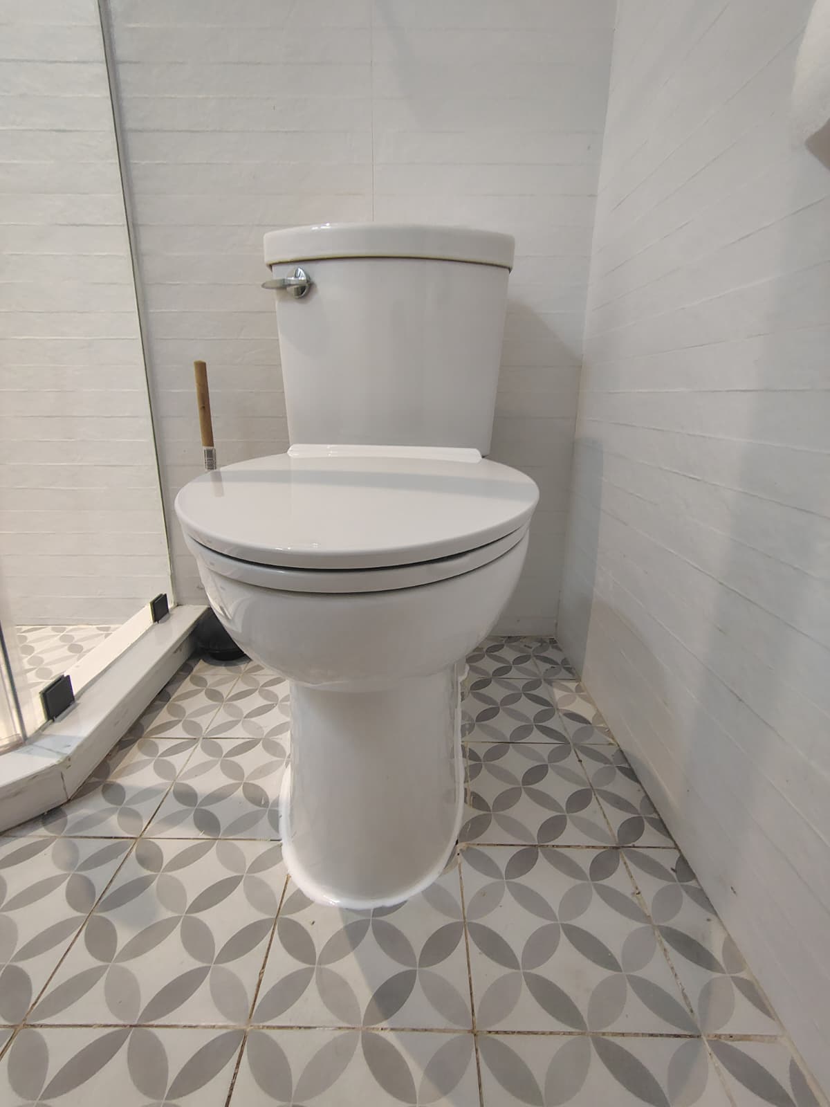 Professional Toilet Installation - 5