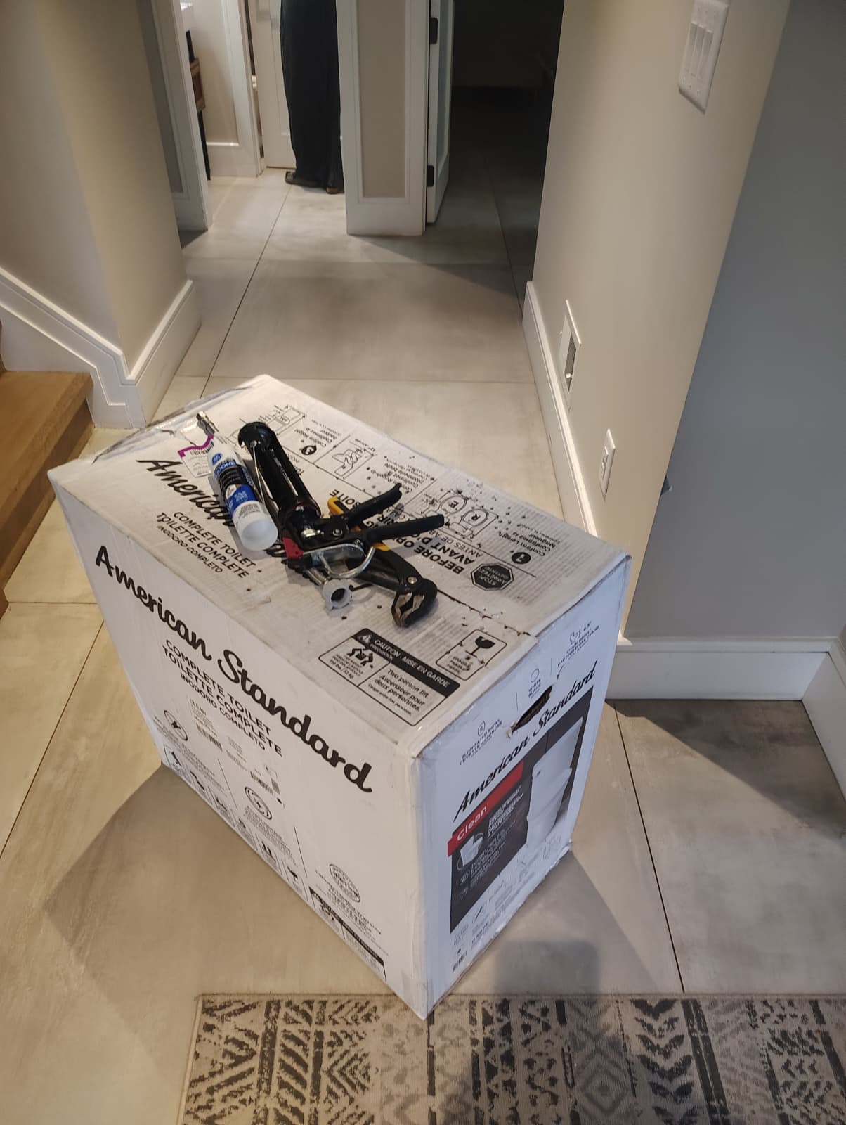 Professional Toilet Installation - 6