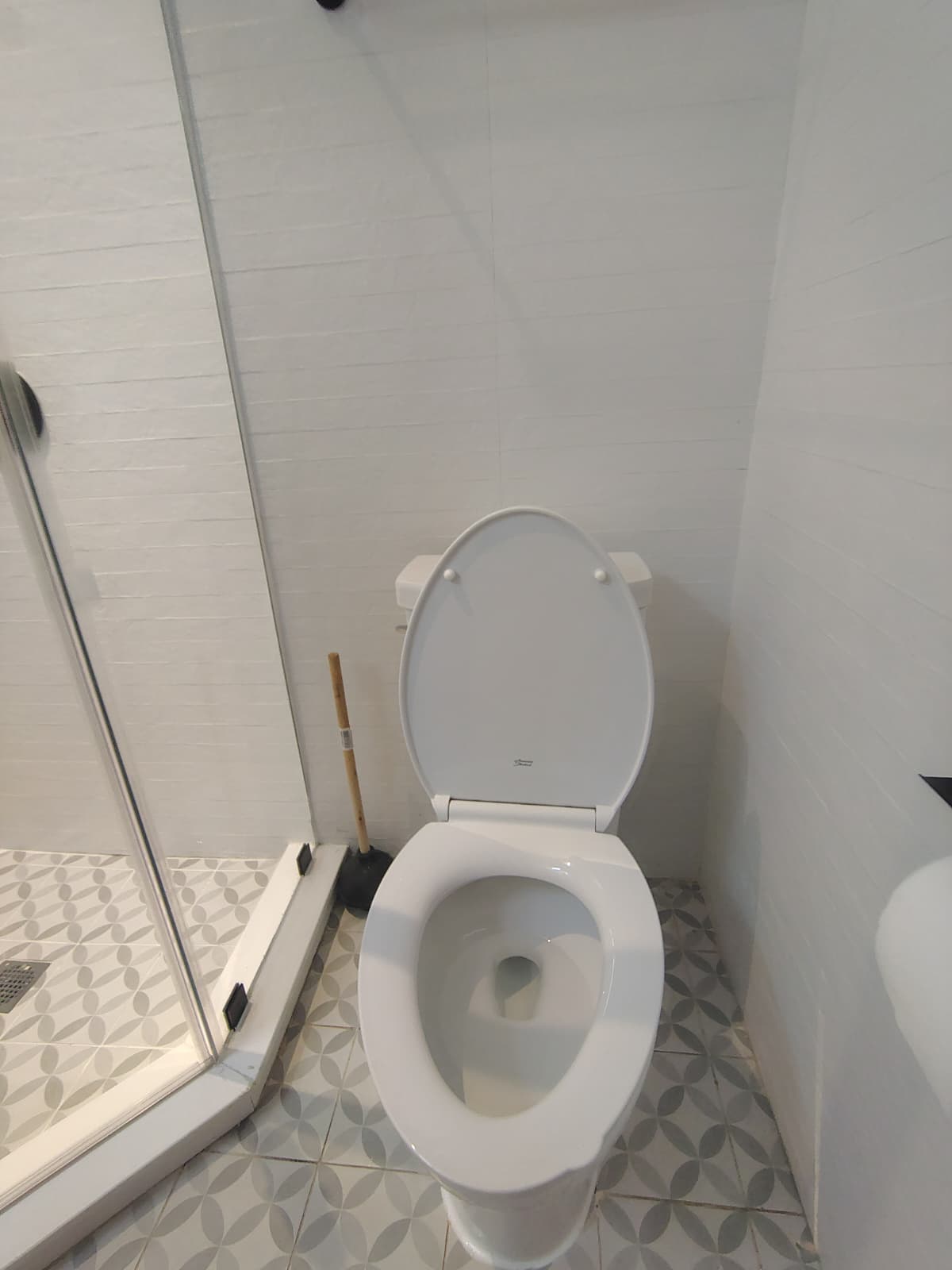 Professional Toilet Installation - 7