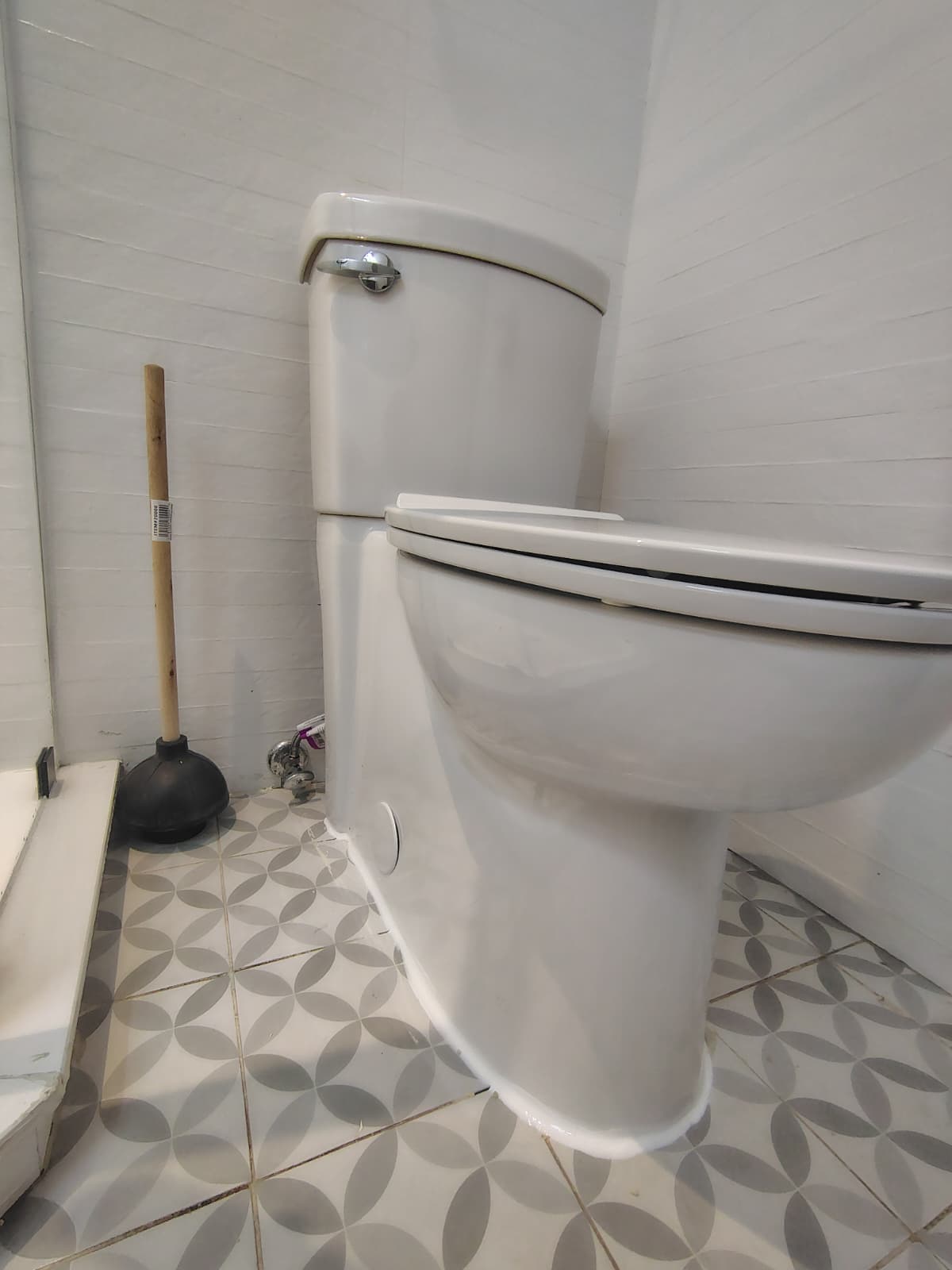 Professional Toilet Installation - 8
