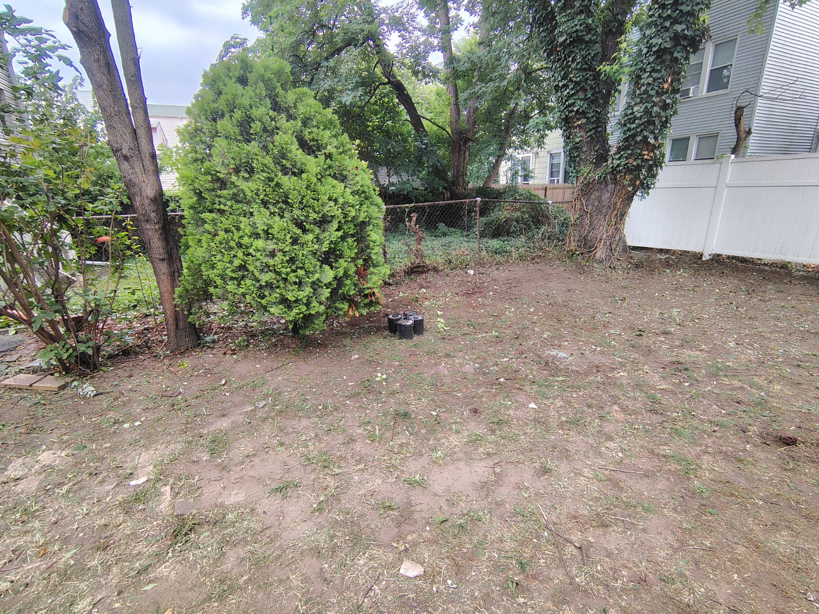 Comprehensive Yard and Patio Cleaning