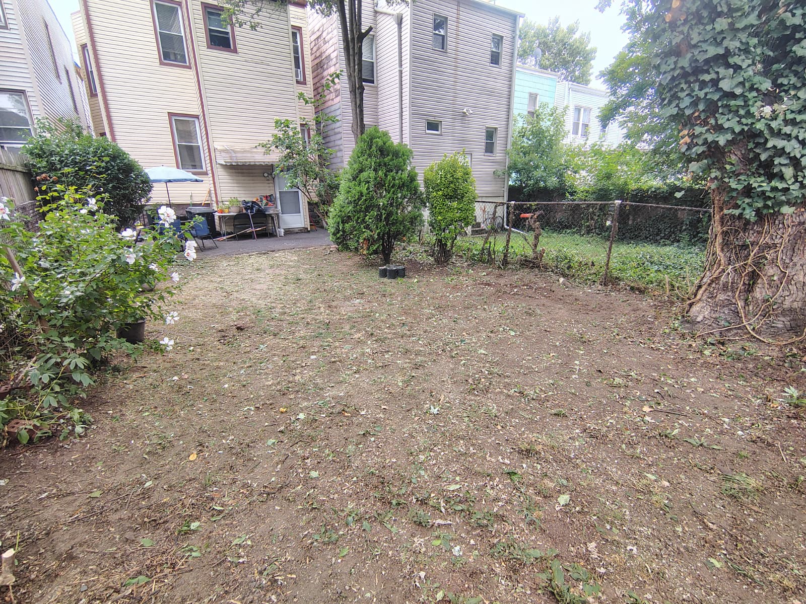 Comprehensive Yard and Patio Cleaning - 2