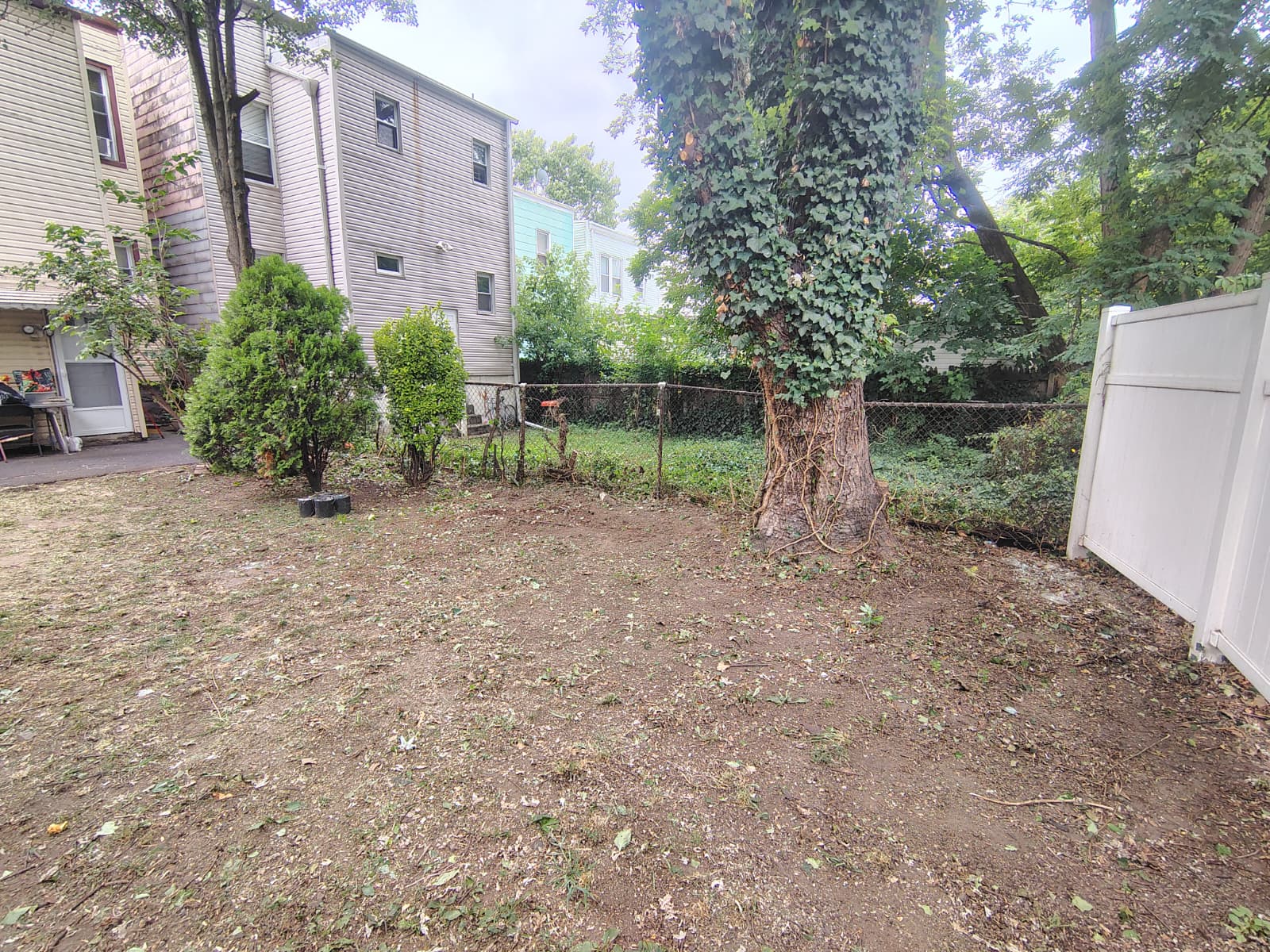 Comprehensive Yard and Patio Cleaning - 3