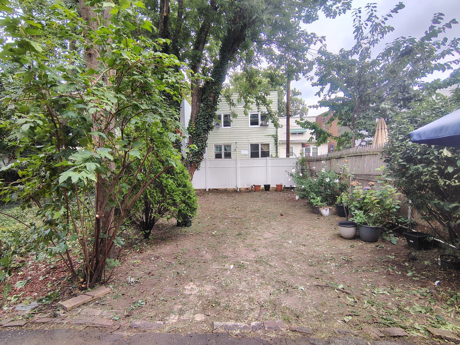 Comprehensive Yard and Patio Cleaning - 4