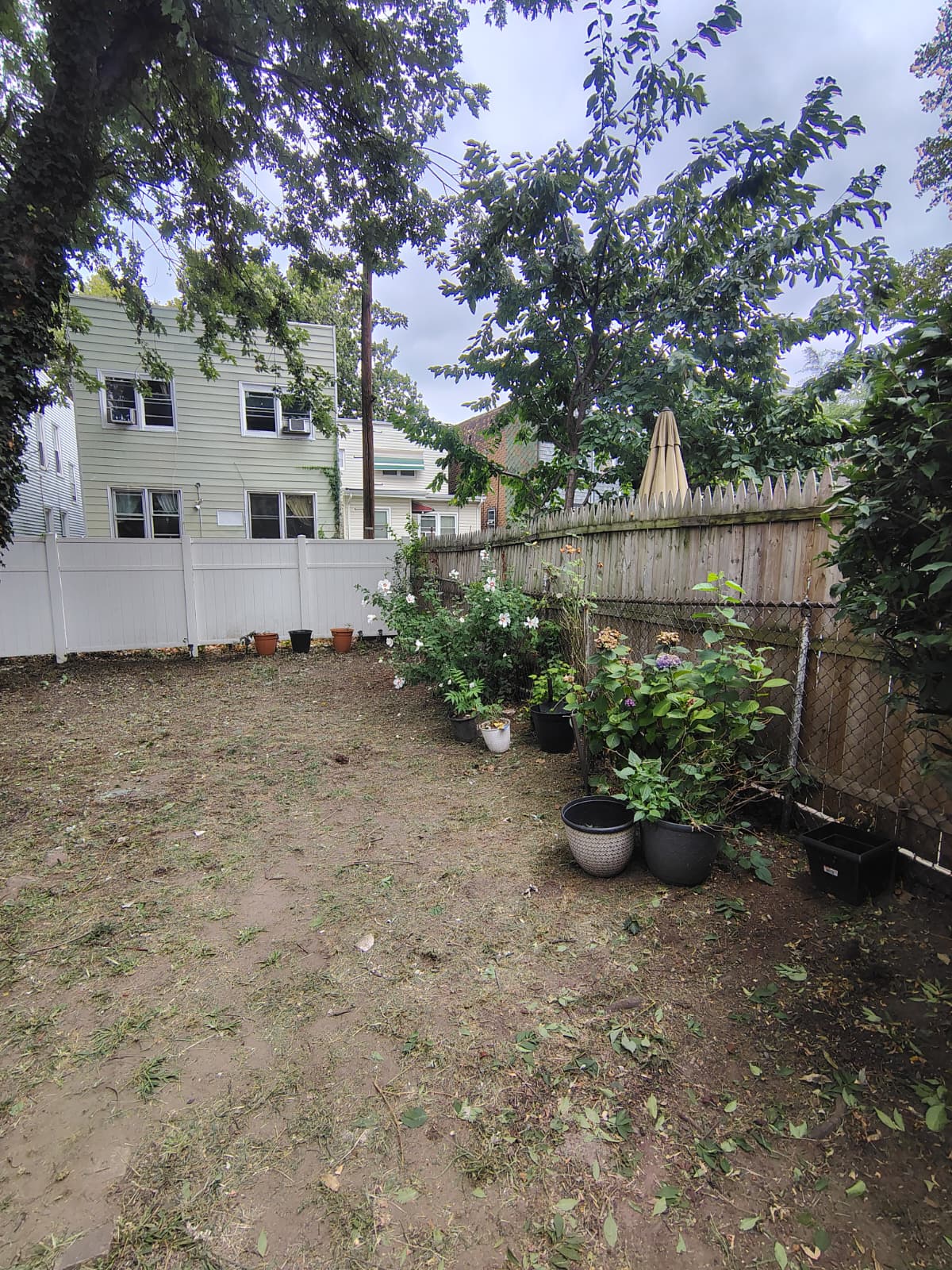 Comprehensive Yard and Patio Cleaning - 5