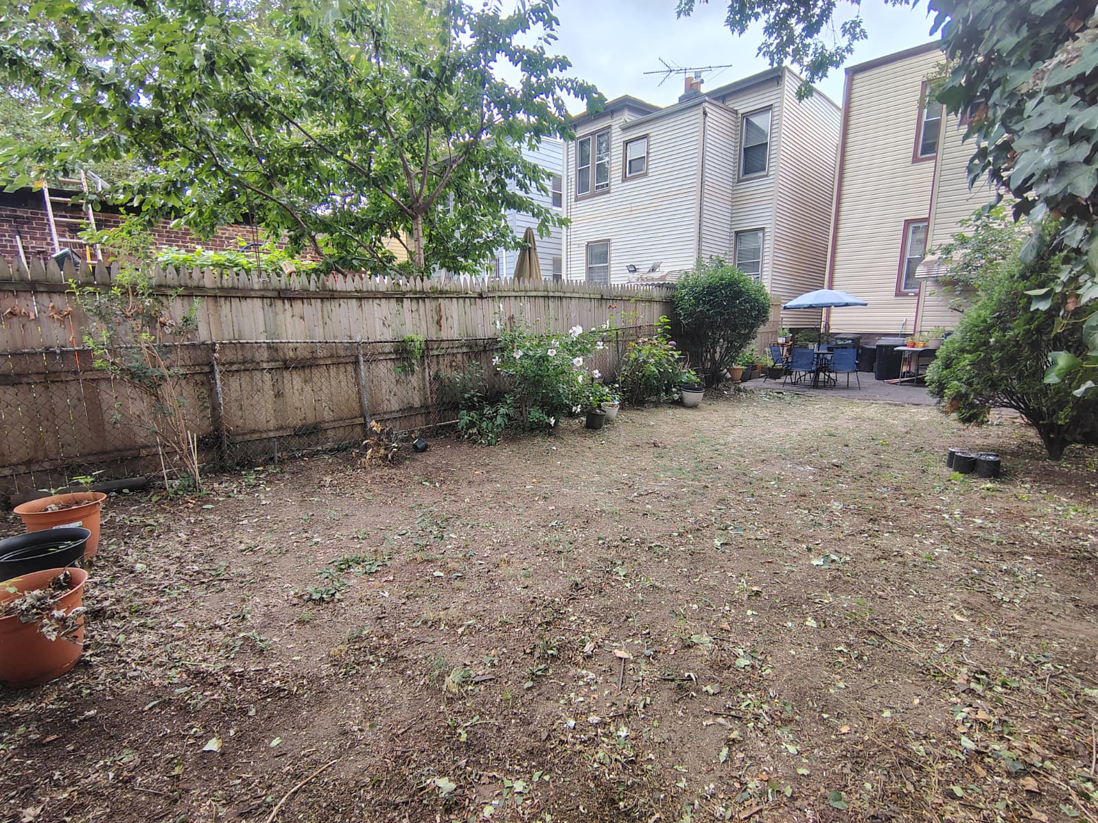 Comprehensive Yard and Patio Cleaning - 6