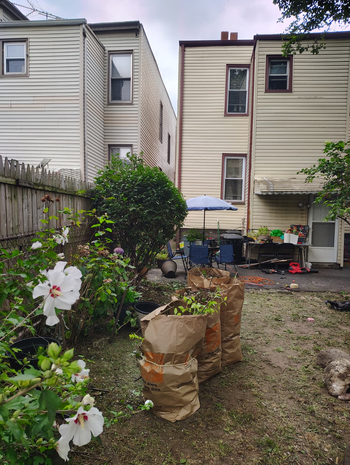 Comprehensive Yard and Patio Cleaning - 7