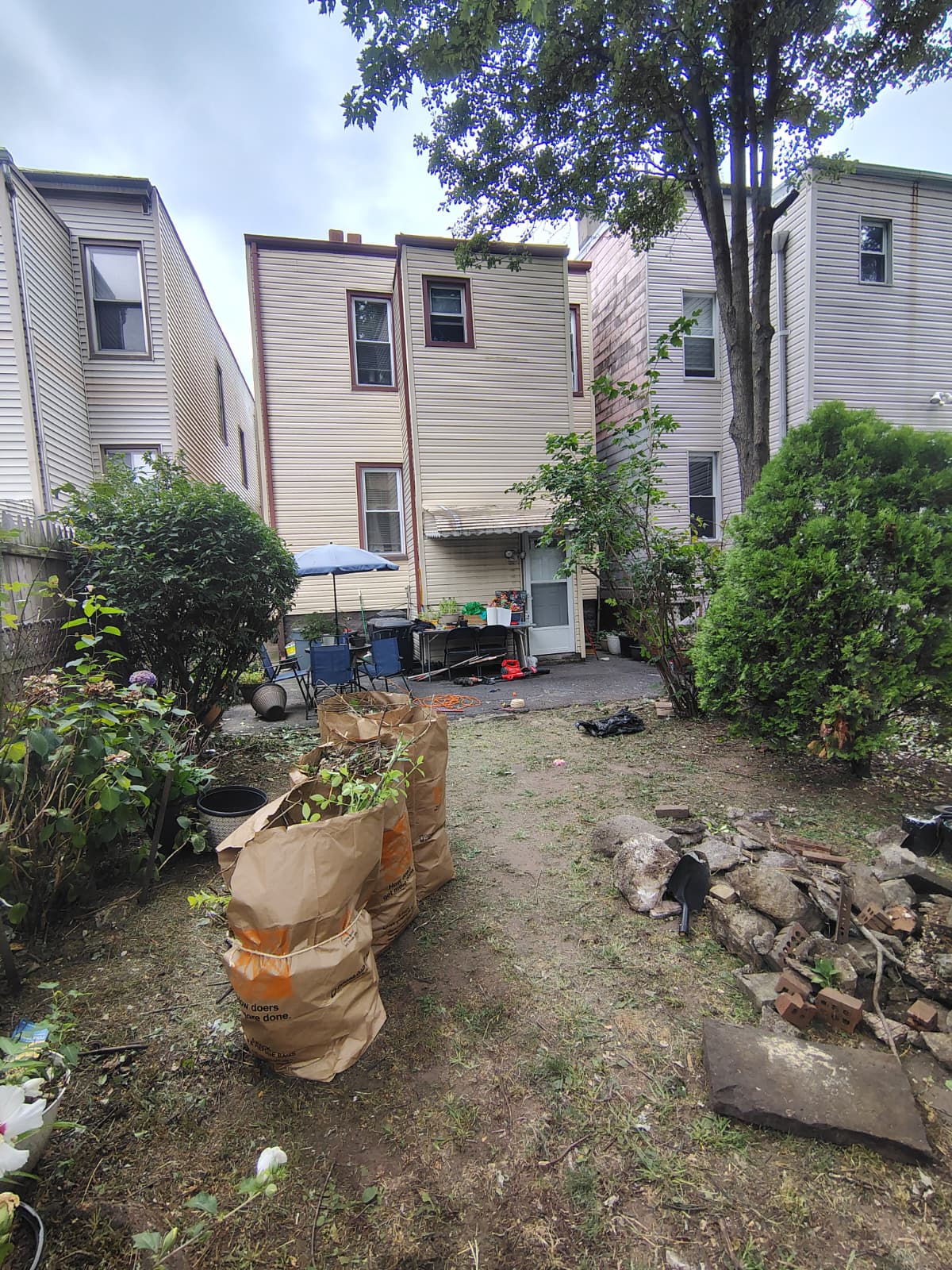 Comprehensive Yard and Patio Cleaning - 9