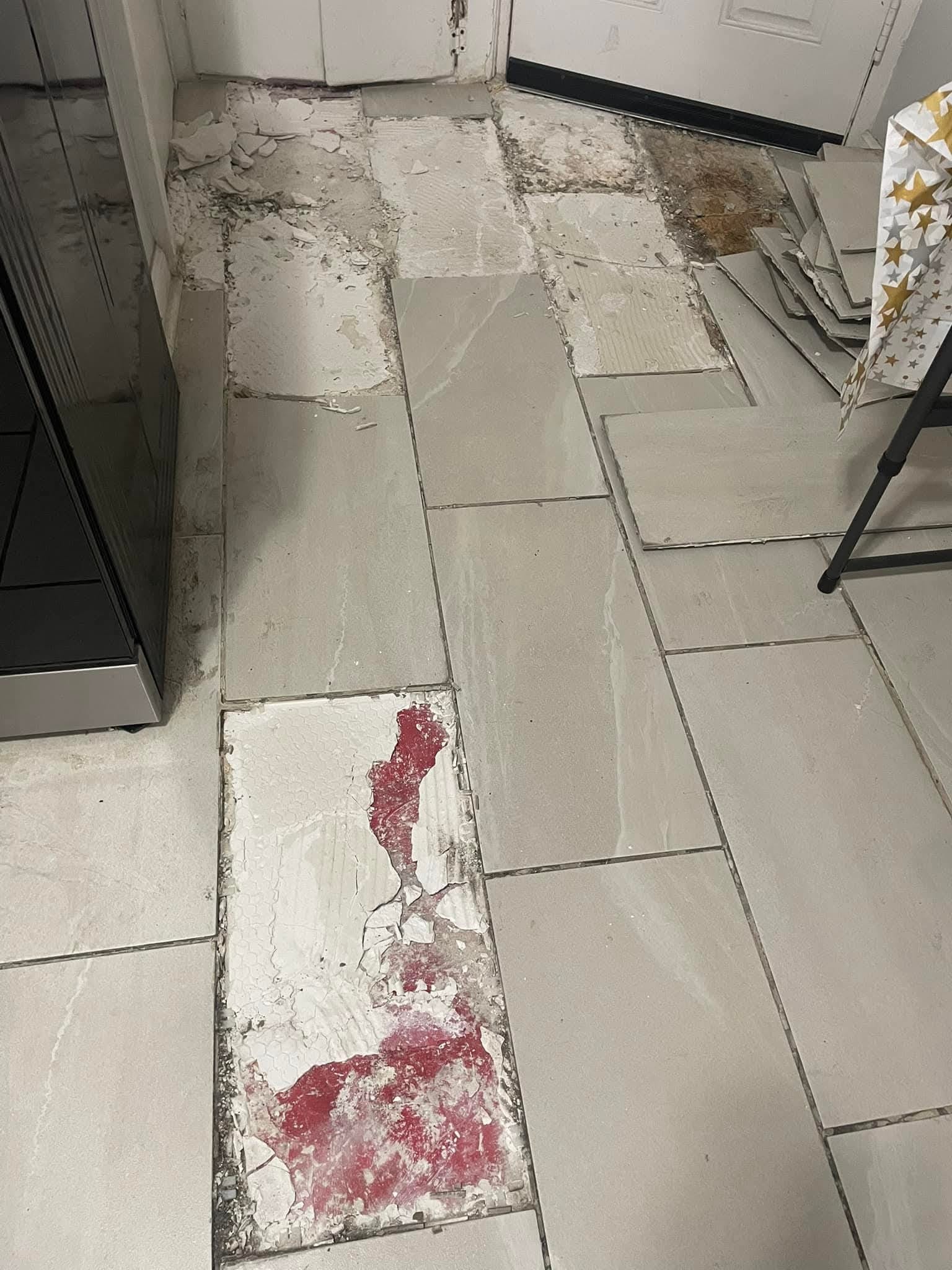 Repair and Replacement of Damaged Tiles - 5