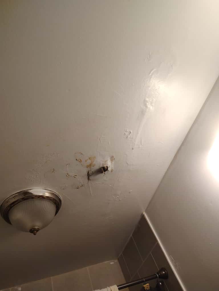 Bathroom Ceiling Repair