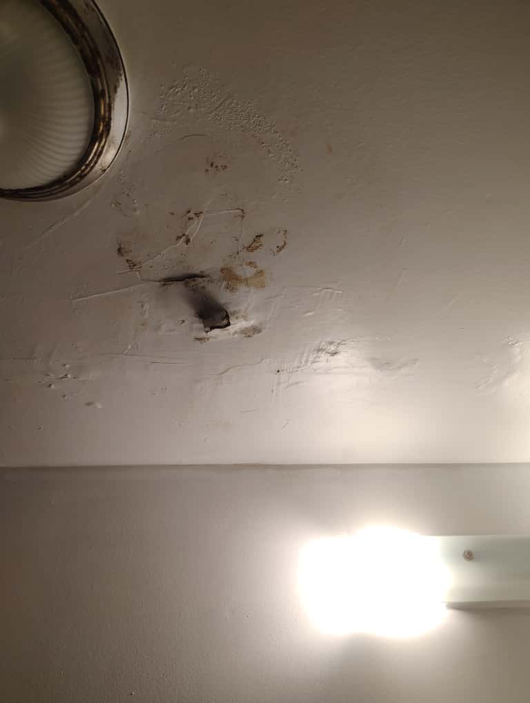 Bathroom Ceiling Repair - 2