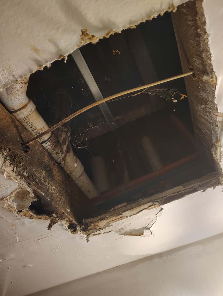 Bathroom Ceiling Repair