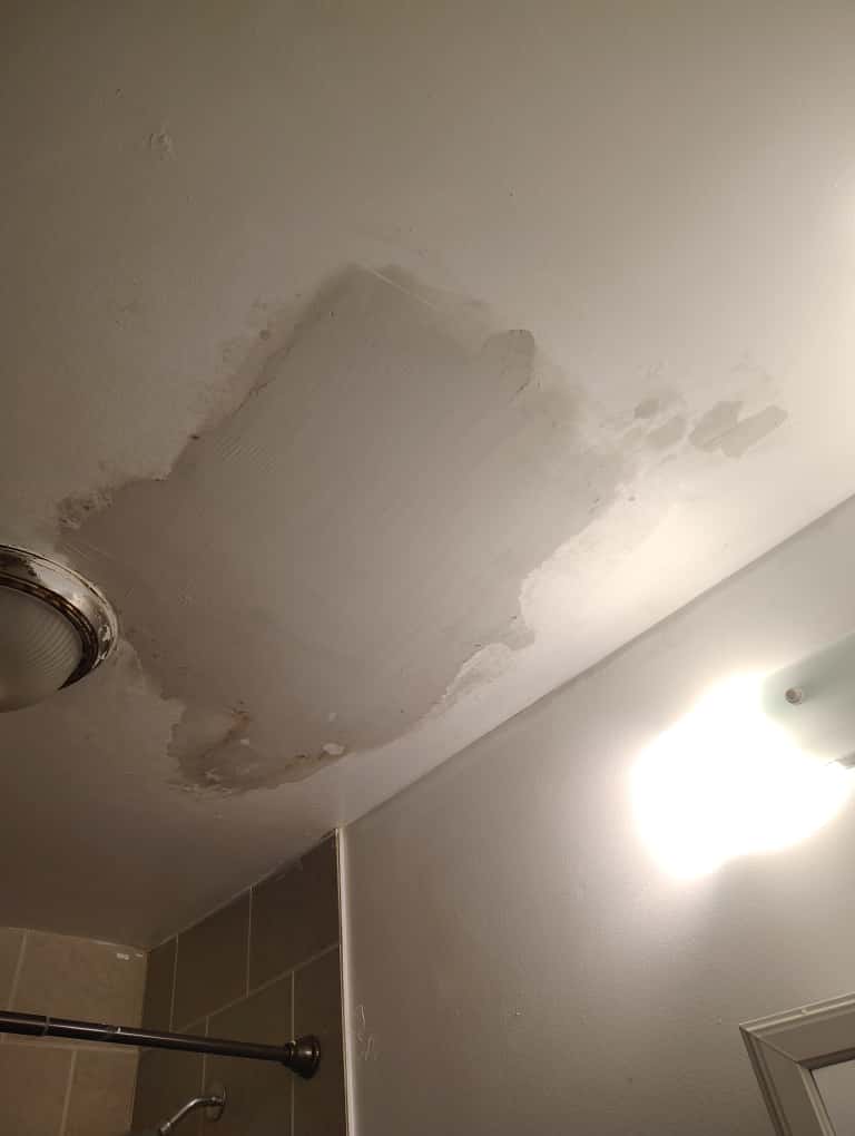 Bathroom Ceiling Repair - 4