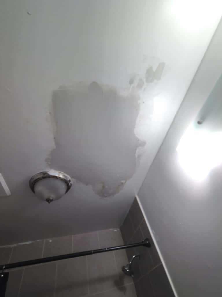 Bathroom Ceiling Repair - 5