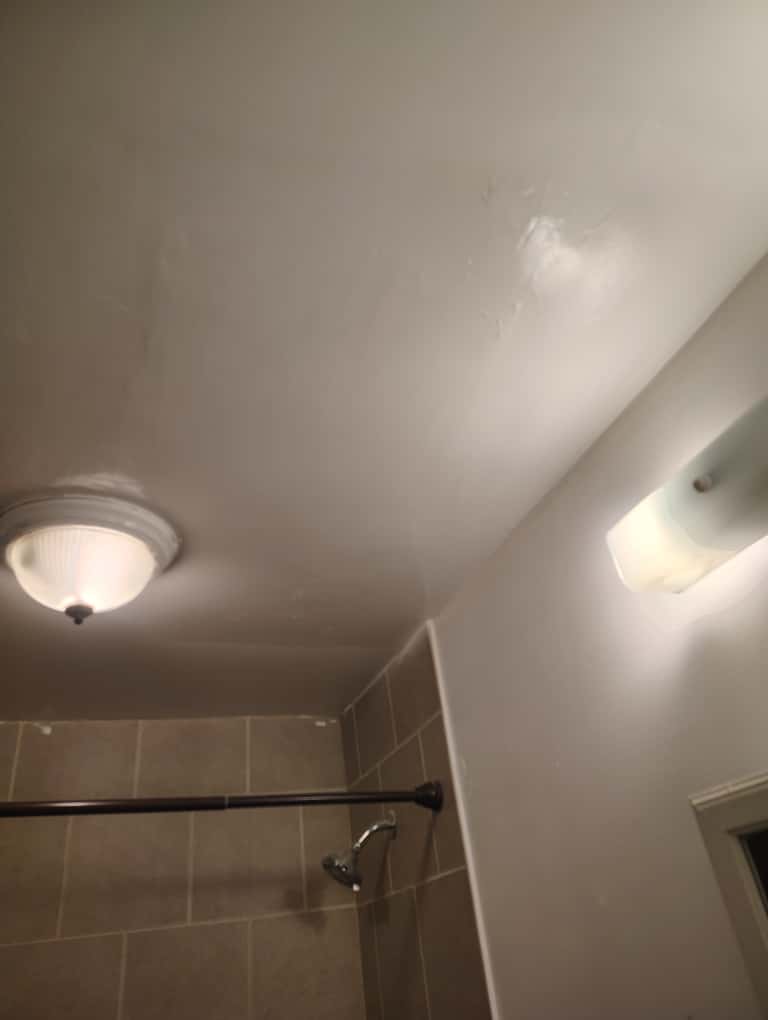 Bathroom Ceiling Repair - 8