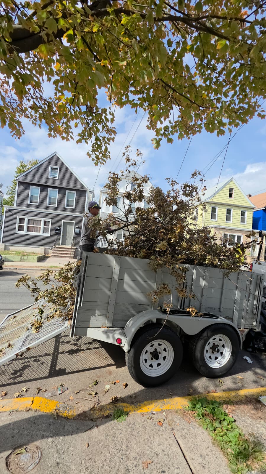 Junk Removal and Disposal Service